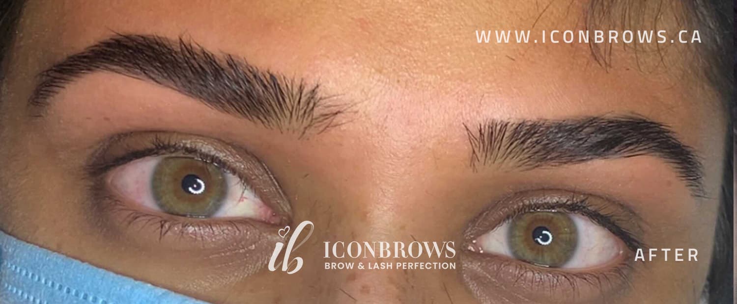 young female eyebrows with brow threading by iconbrows in toronto ontario