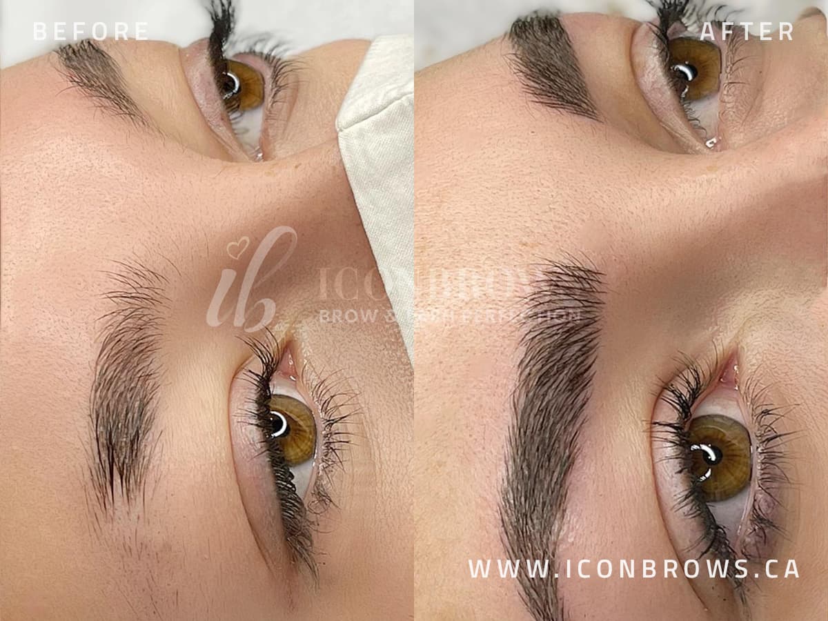 Image of microblading results on eyebrows done by Iconbrows - Professional Microblading in Toronto, Ontario Canada.