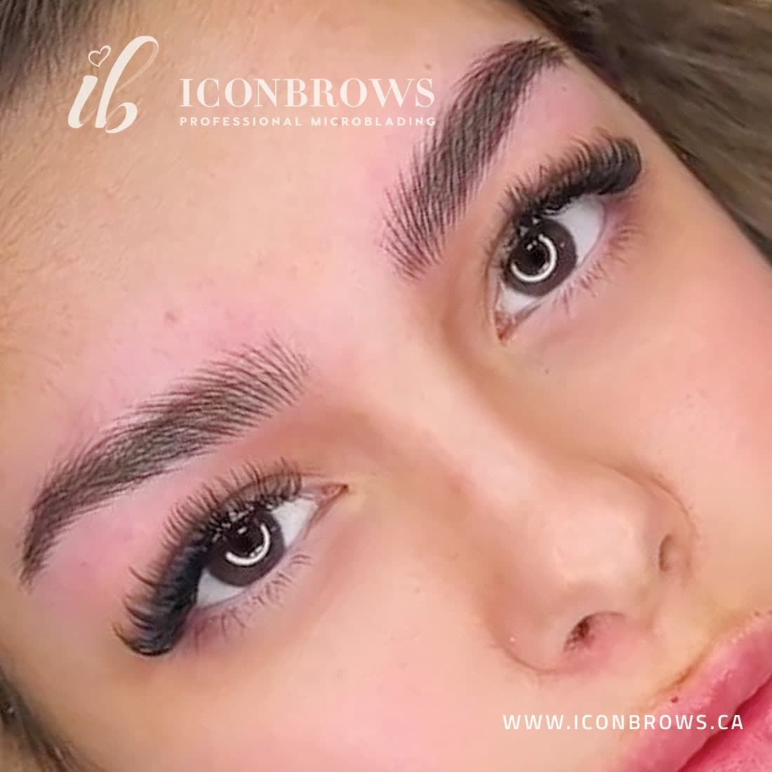 Nano brows natural hair-stroke result by Iconbrows Toronto.