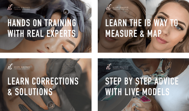 Live Model Training Modules With Iconbrows Training In Toronto Ontario